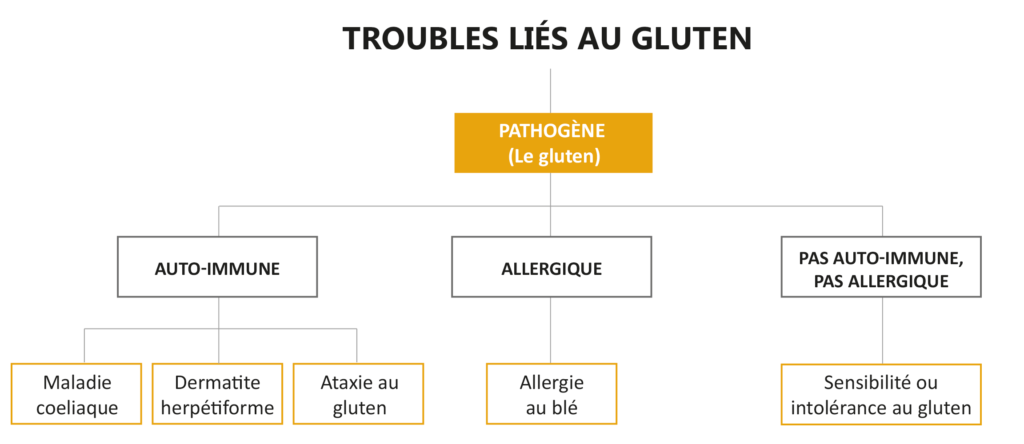 Graphique des troubles liés au gluten